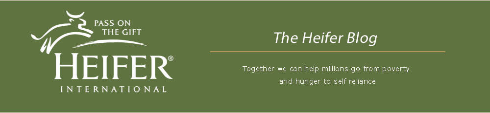 Heifer Blog | The Official Blog of Heifer International