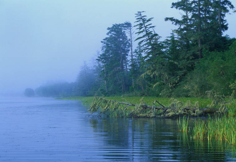 myfriendwantstoknow comments find places seattle myfriendwantstoknow comments find places seattle