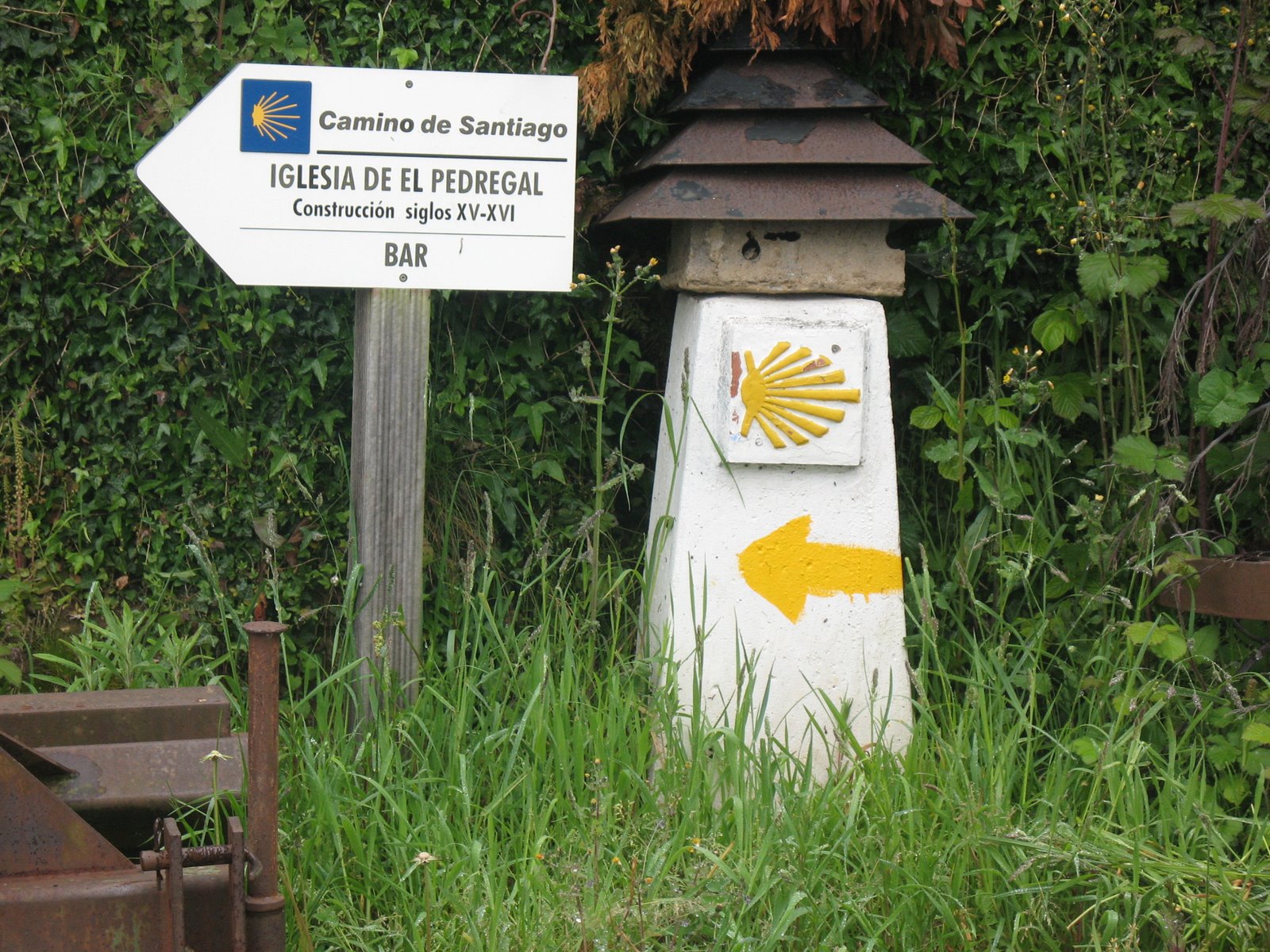 [IMG_5378.JPG]
