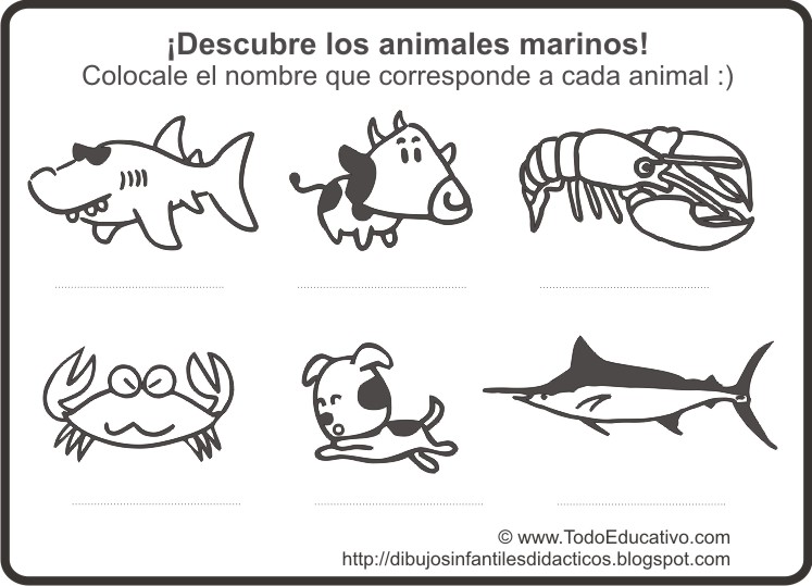 [Descubre+los+Animales+marinos.jpg]