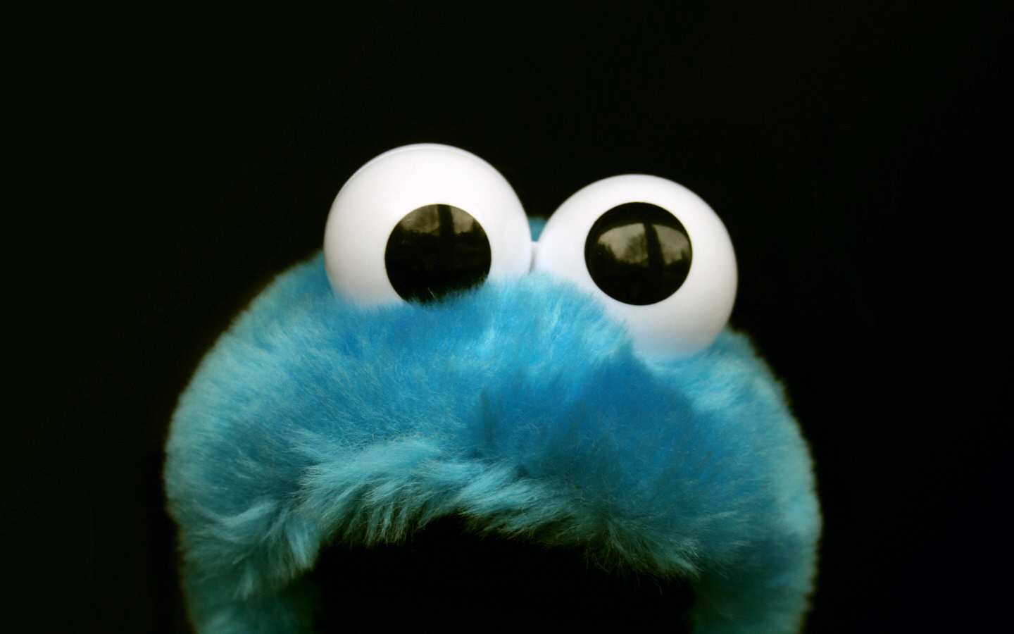 http://4.bp.blogspot.com/_-xMhVmY1fo0/TNOAwOVTZKI/AAAAAAAAADE/Cw4NGYpg2Mg/s1600/1260353190224.jpg