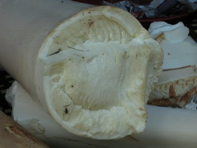 Umbut by the kelapa