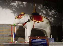 [250px-White_elephant_Doi_Suthep.JPG]