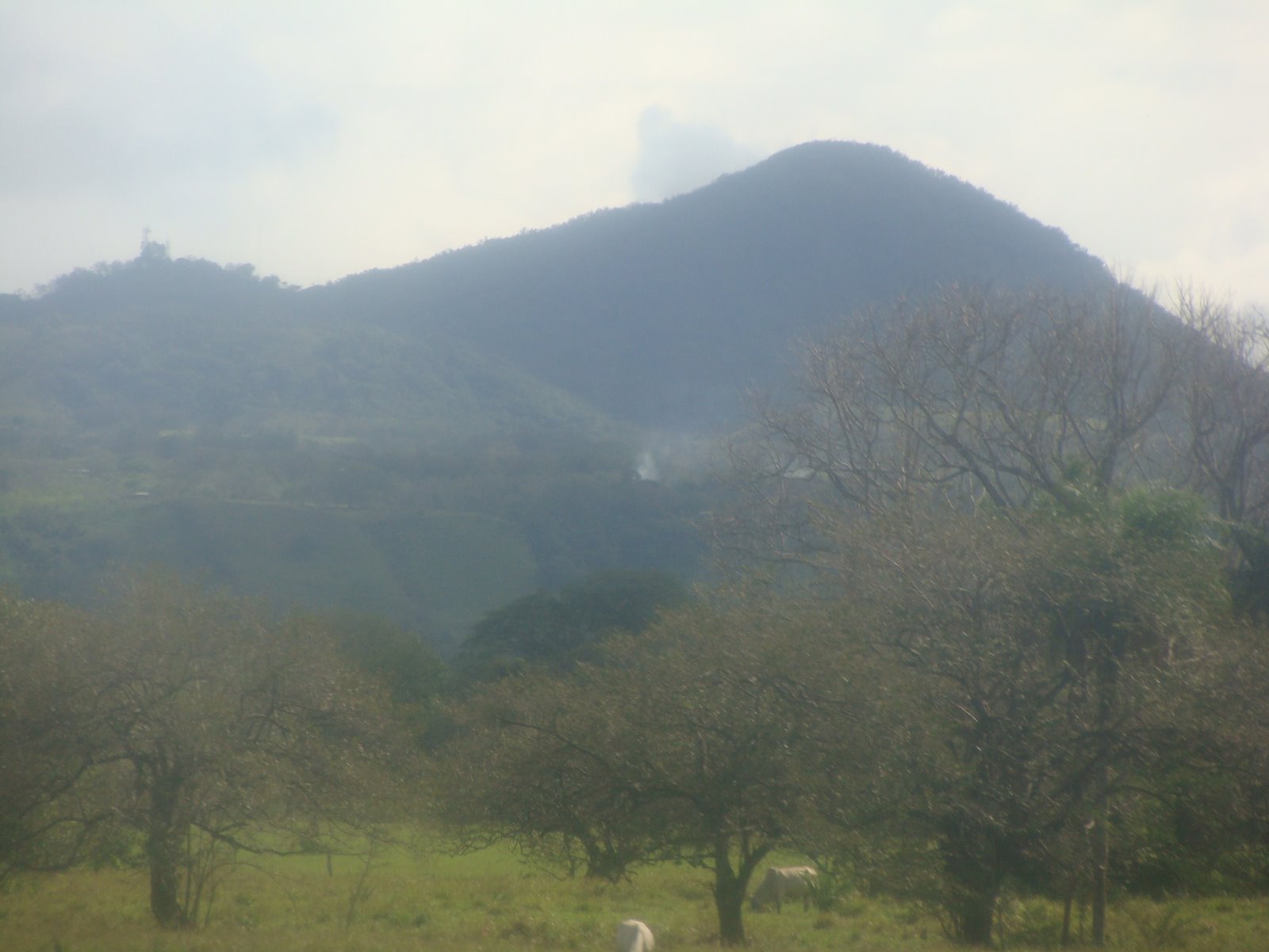 [DSC02658.JPG]