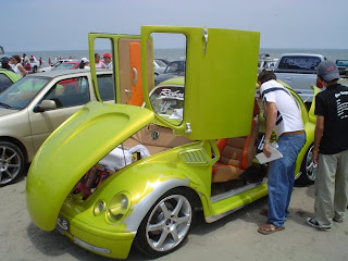 escarabajo escarabajo