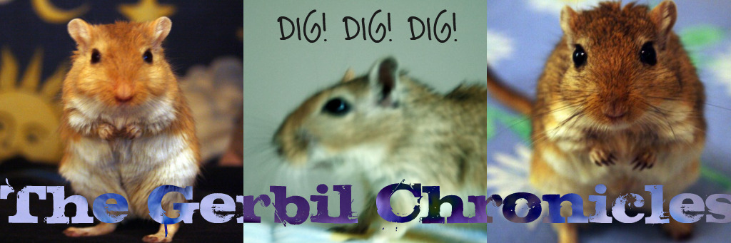 Dig! Dig! Dig! The Gerbil Chronicles