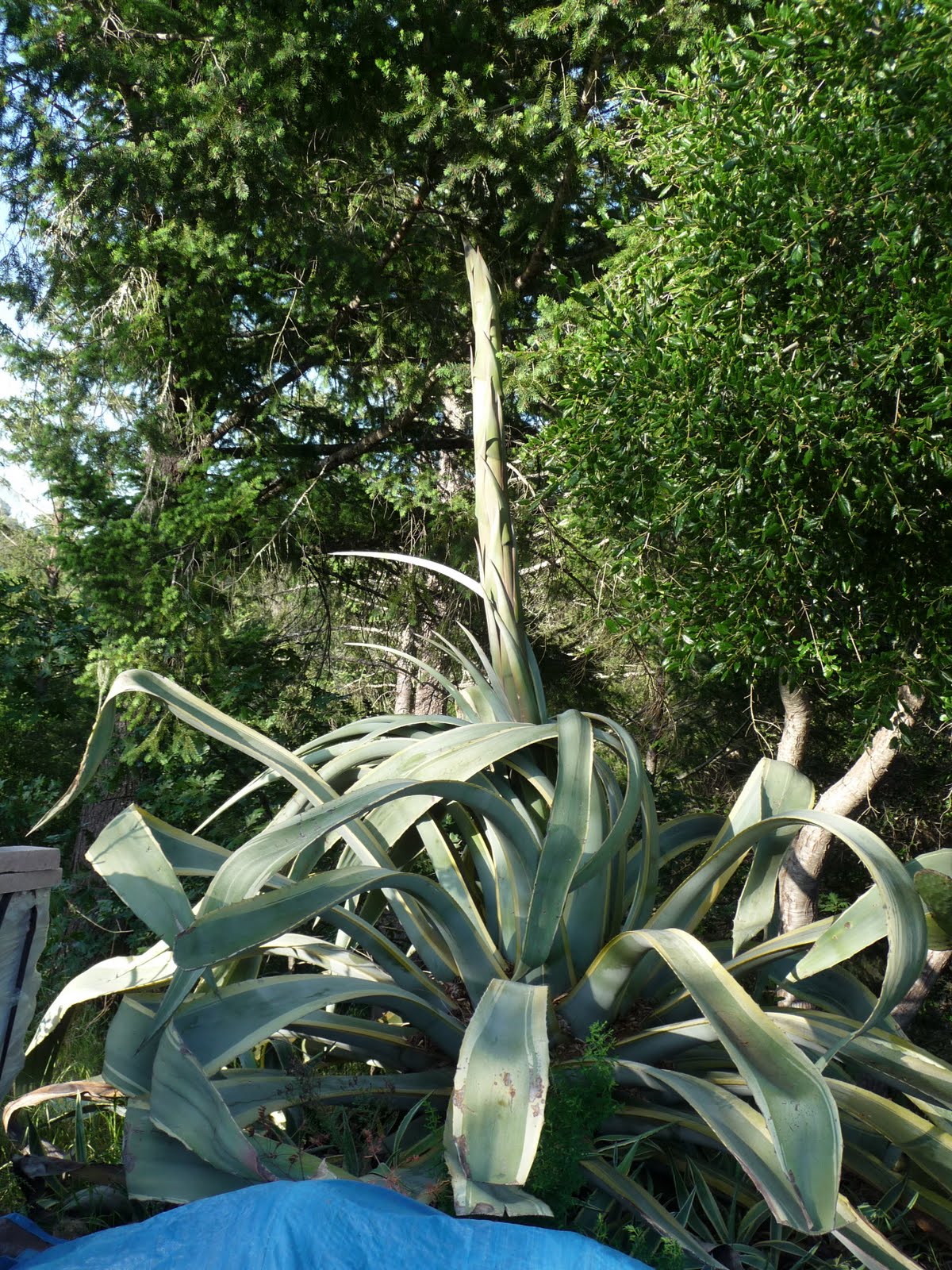 [P1000254.JPG]