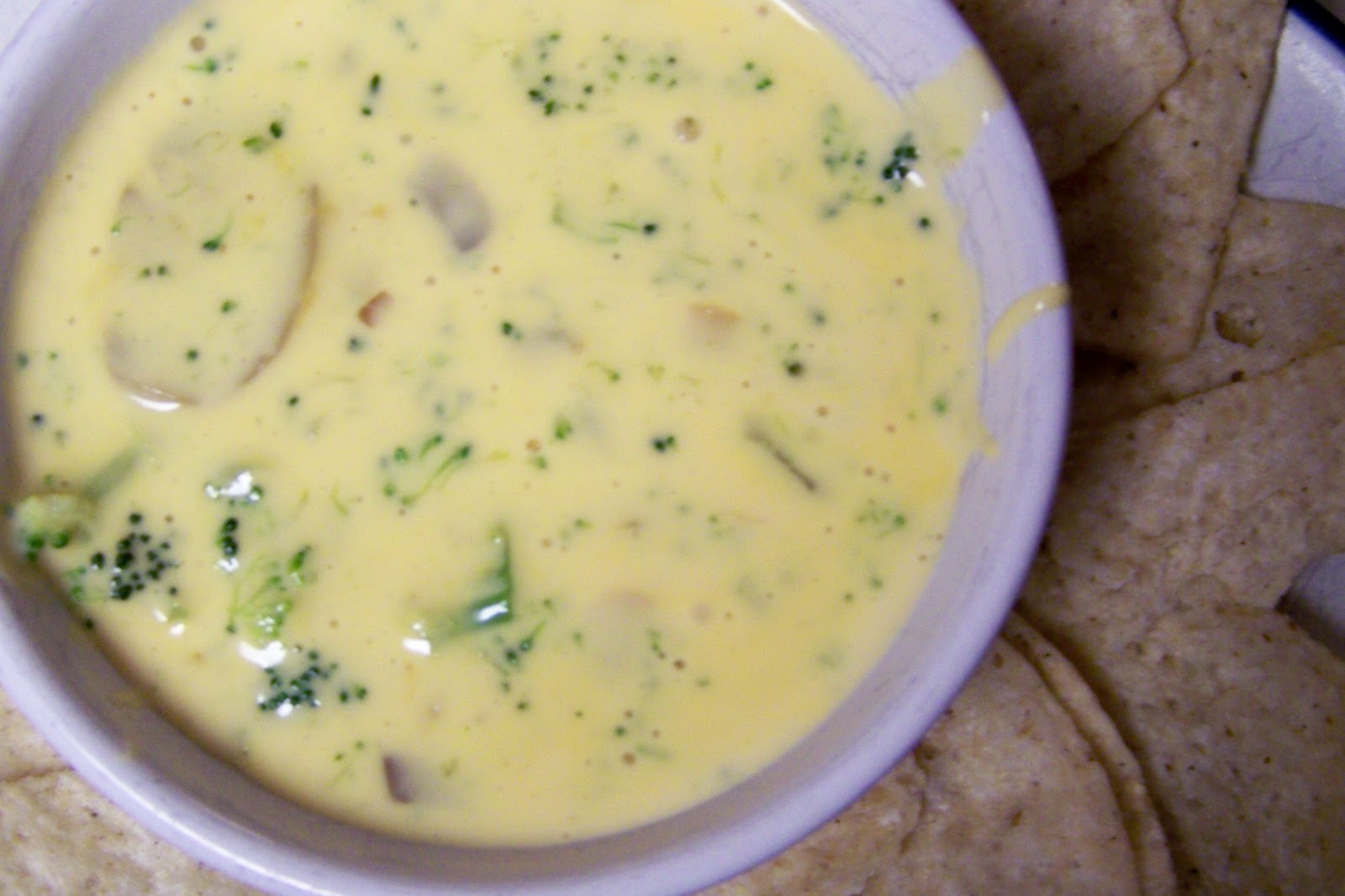 Diary of a Recipe Addict Broccoli Cheese Dip