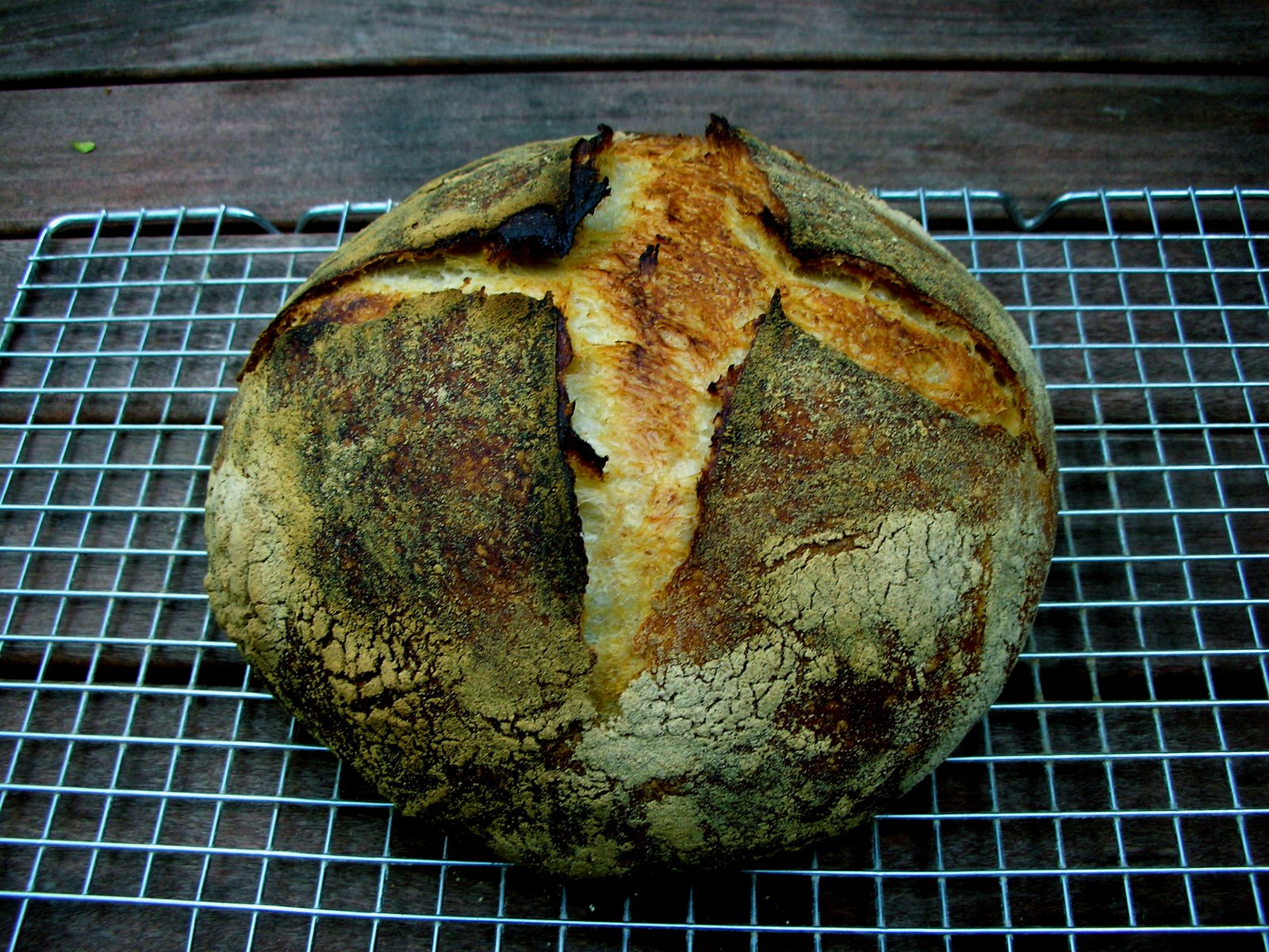 [dark+bread.JPG]