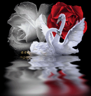 [amor2[1].PNG]