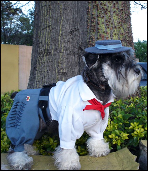 [untitledCACHORRO.bmp]