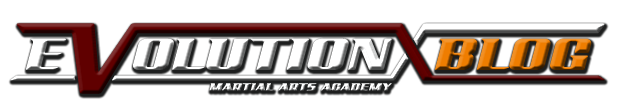 Evolution Martial Arts Academy Blog