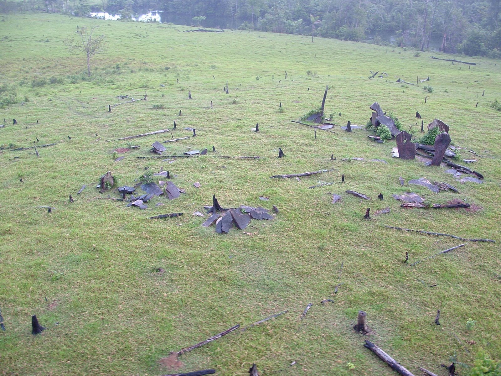 [DSCF0037.JPG]