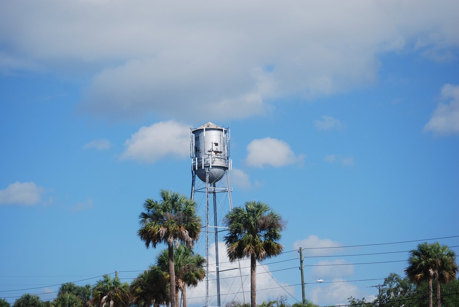 [DSC_0353.JPG]