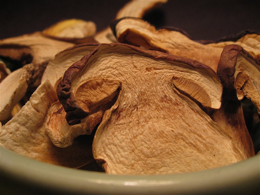 Fat of the Land Porcini 101 Porcini Risotto
