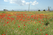 FRÜHJAHR AUF MALLORCA