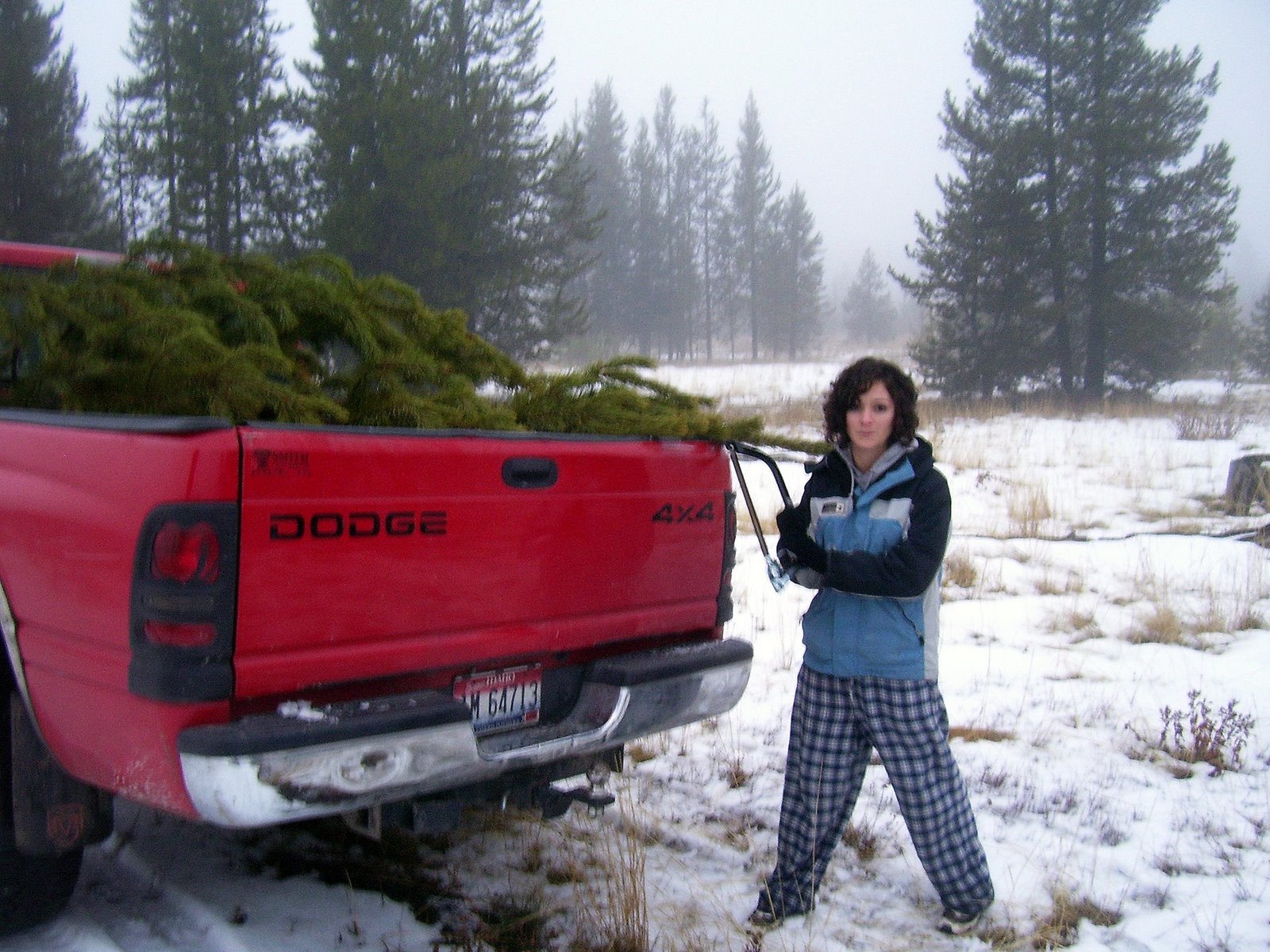 [Rachel+loading+tree.jpg]