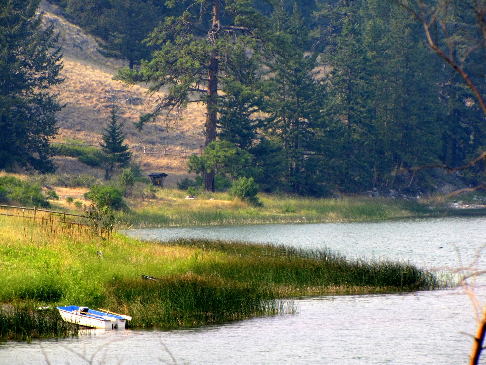 [boat+on+the+lake.jpg]