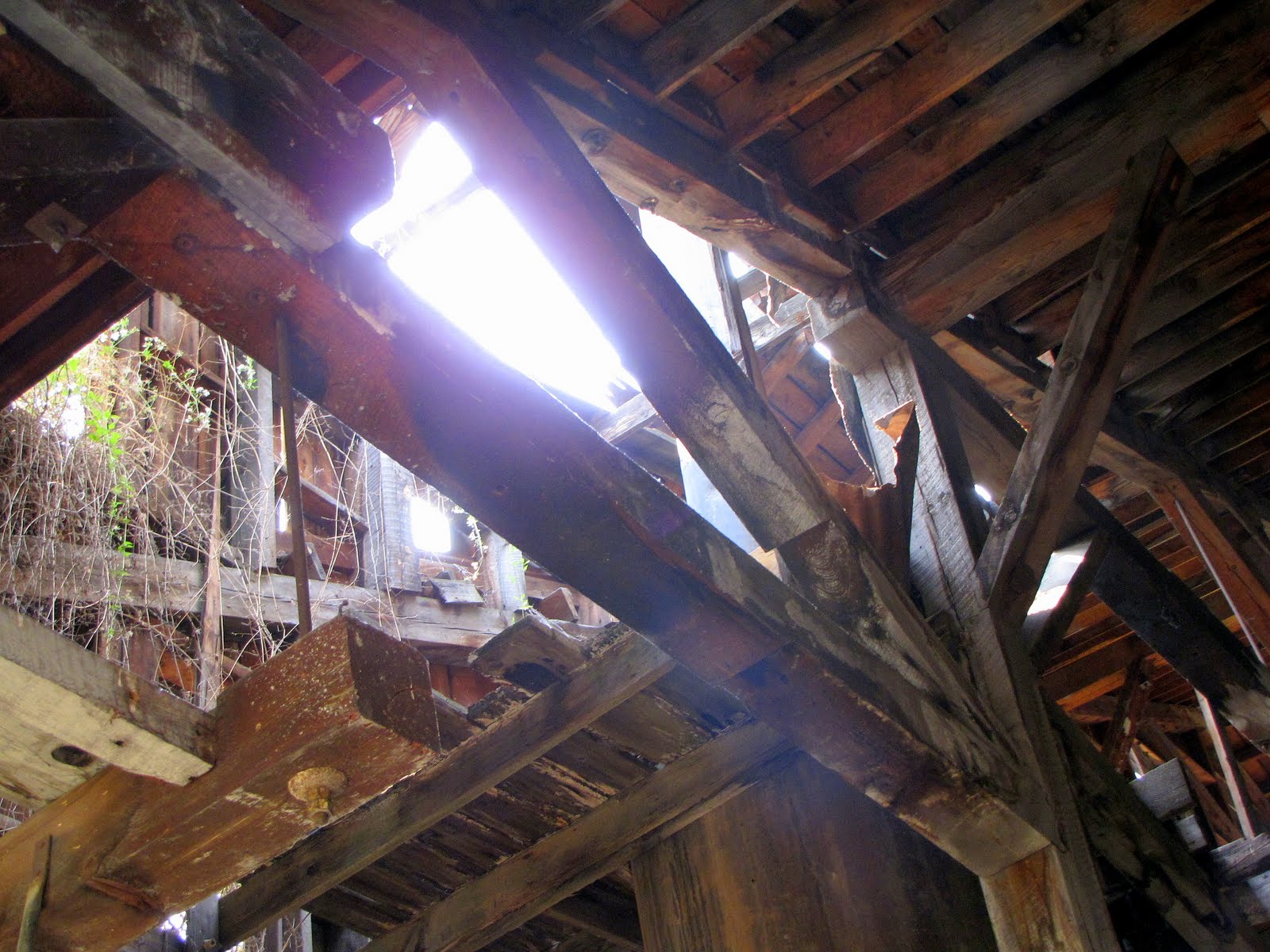 [inside+old+builing.jpg]