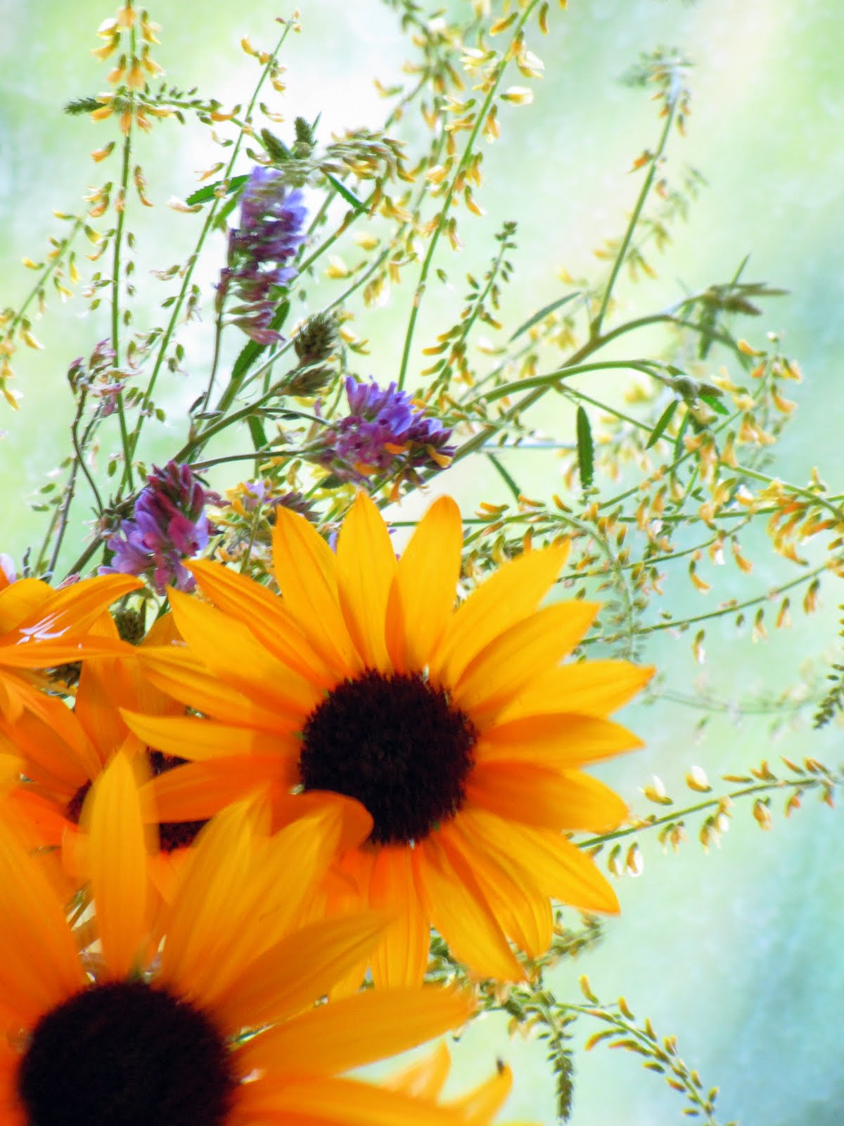 [closeup+flowers.jpg]