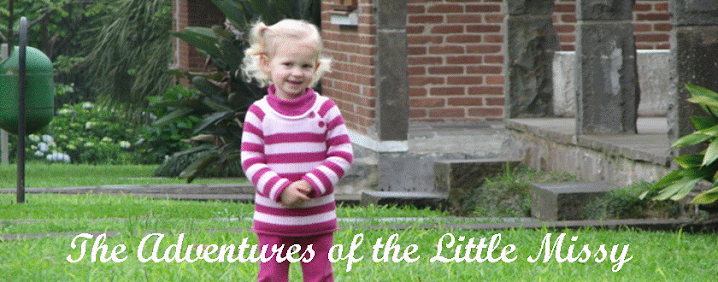 The Adventures of the Little Missy