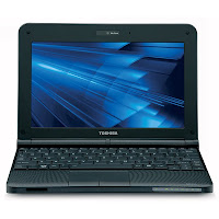 Toshiba Mini Notebook NB255-N240
