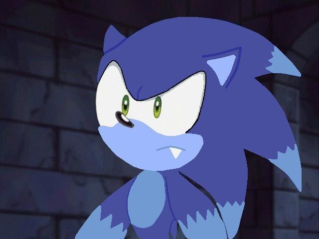 sonic and shadow games: The Pathetic Werehog Pic That
