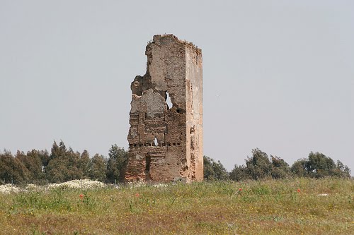 A.V. CANTELY-TORRE DE LOS HERBEROS