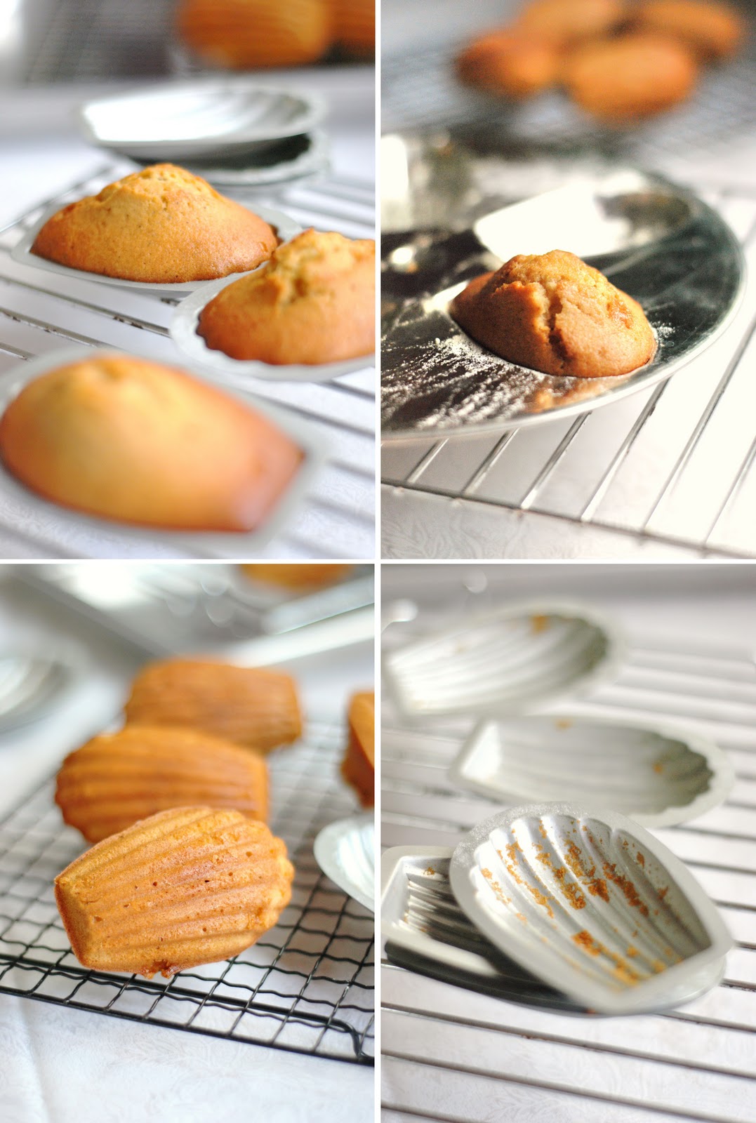 Sweets and Loves Browned Butter Hazelnut Praline Madeleines