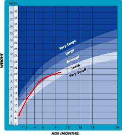 Syafi Growth Chart (Weight)