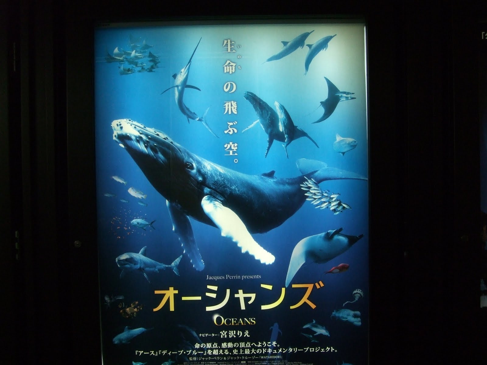 [DSCF3954.JPG]