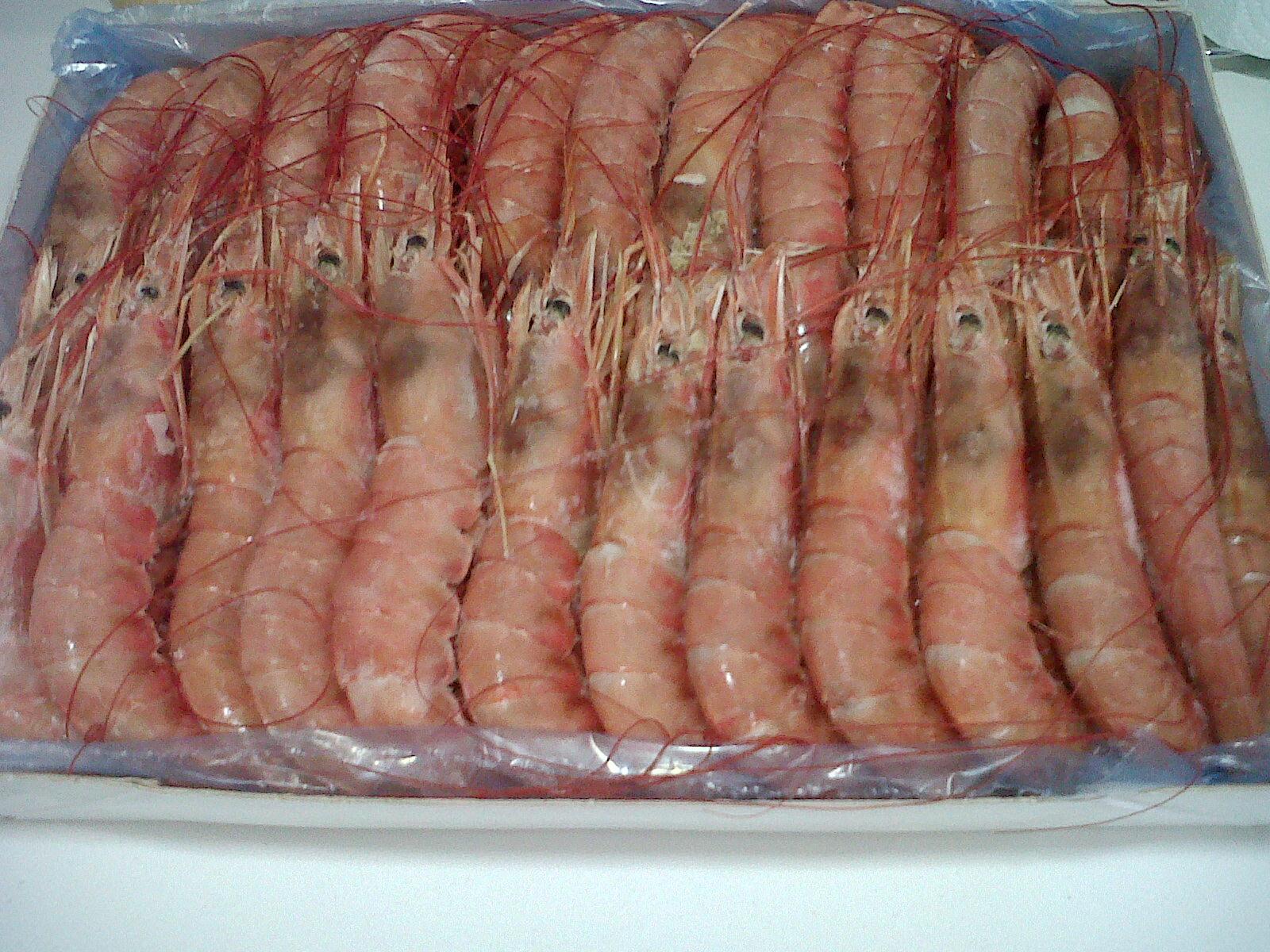 Download Las Recetas De Mar Gambones Al Horno For Android Wallpaper Las Recetas De Mar Gambones Al Horno For iPhone Free