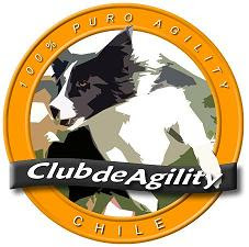 CLUB DE AGILITY