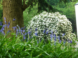 Grounds at Rednal