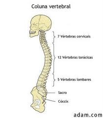 Exame da coluna cervical