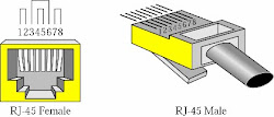 UTP Connector