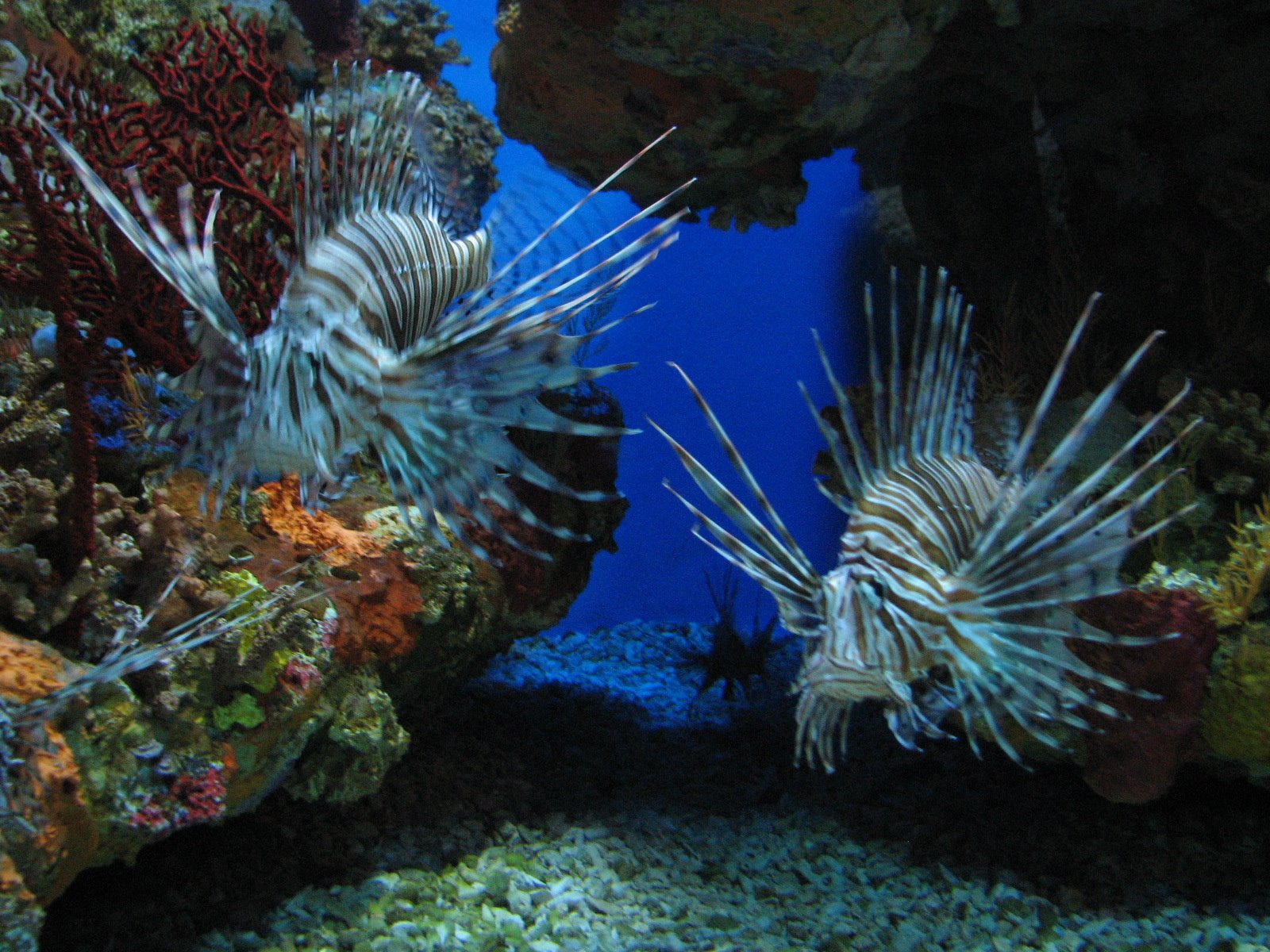 [IMG_4283.JPG]