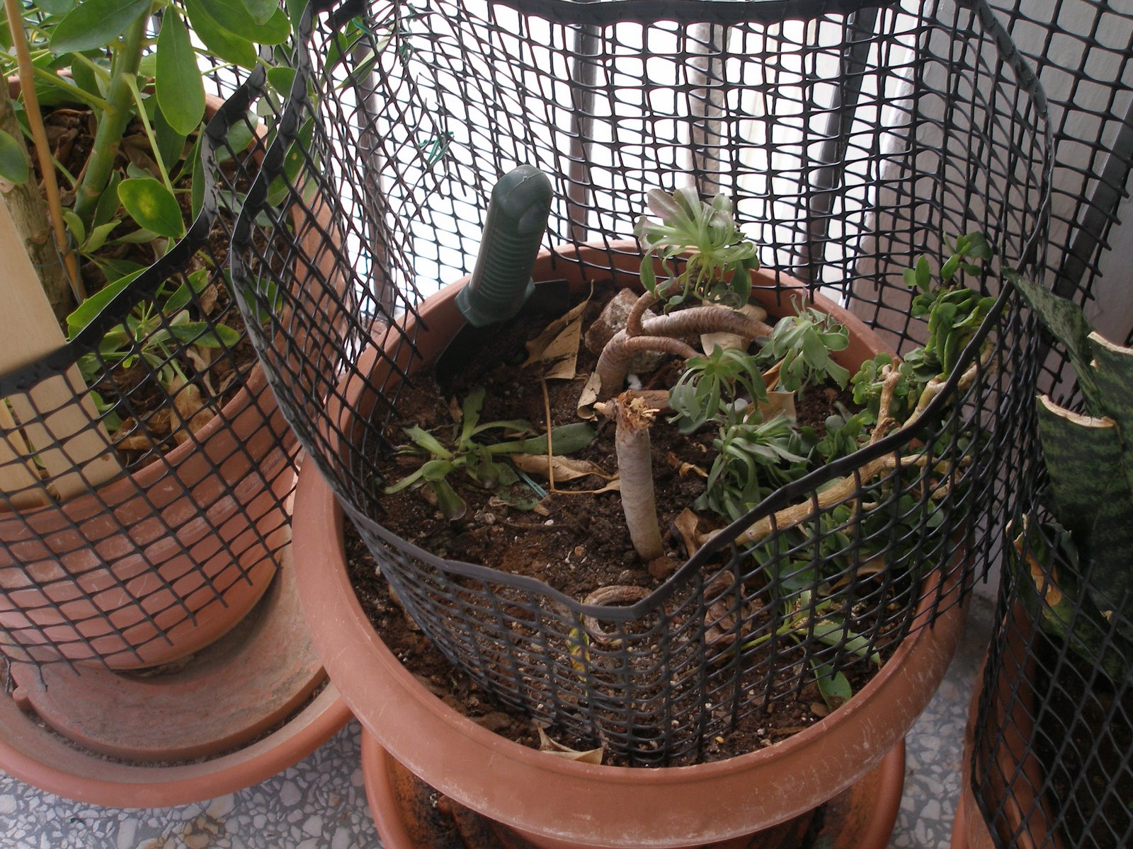 [PC081024.JPG]