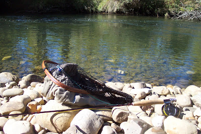 GUIA PESCA CASTILLA LEON guia pesca castilla leon: