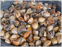 Resepi Kak Yan Pelbagai Petua Resepi Masakan Melayu