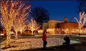 this is the 24th season for the lights before christmas which features over one million lights and more than 200 lights animal images - Toledo Zoo Lights Before Christmas this is the 24th season for the lights before christmas which features over one million lights and more than 200 lights animal images - Toledo Zoo Lights Before Christmas