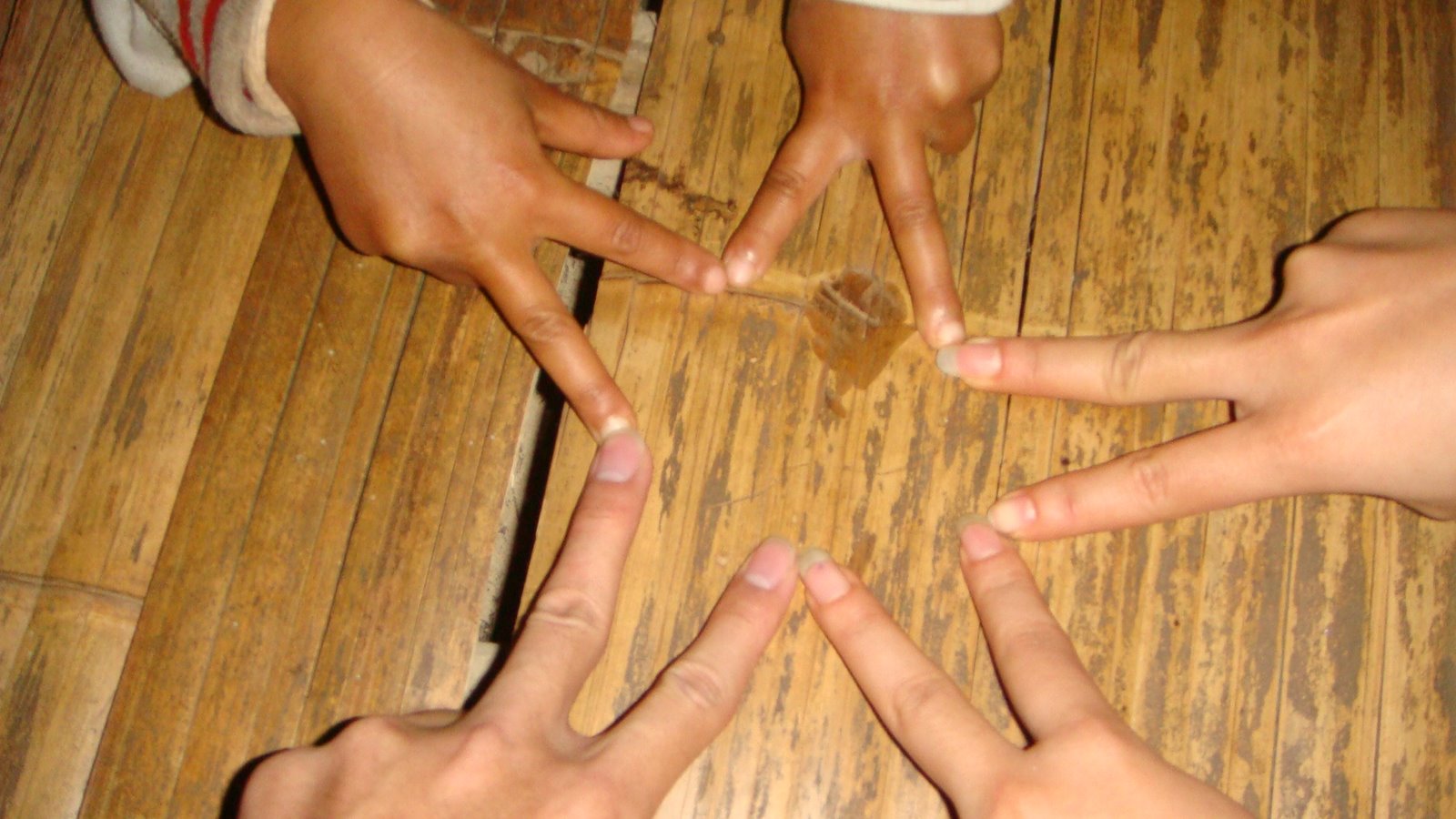 [DSC08808.JPG]