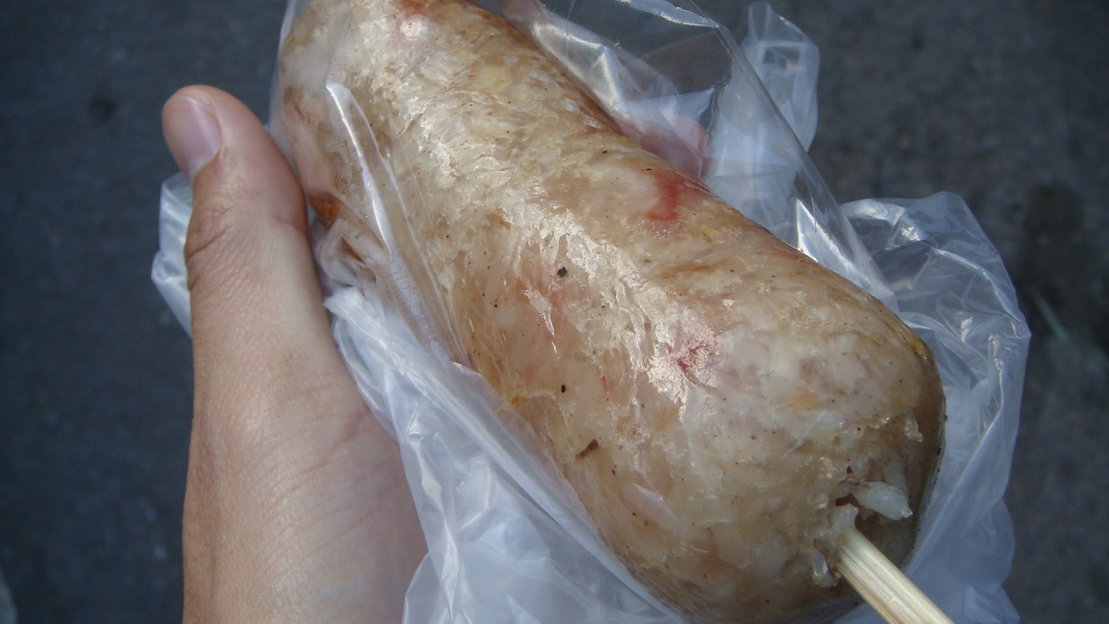 [DSC08918.JPG]