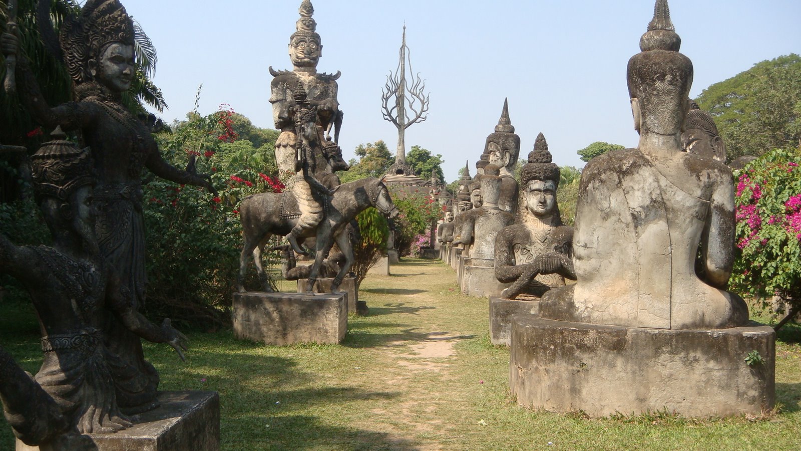 [DSC09450.JPG]