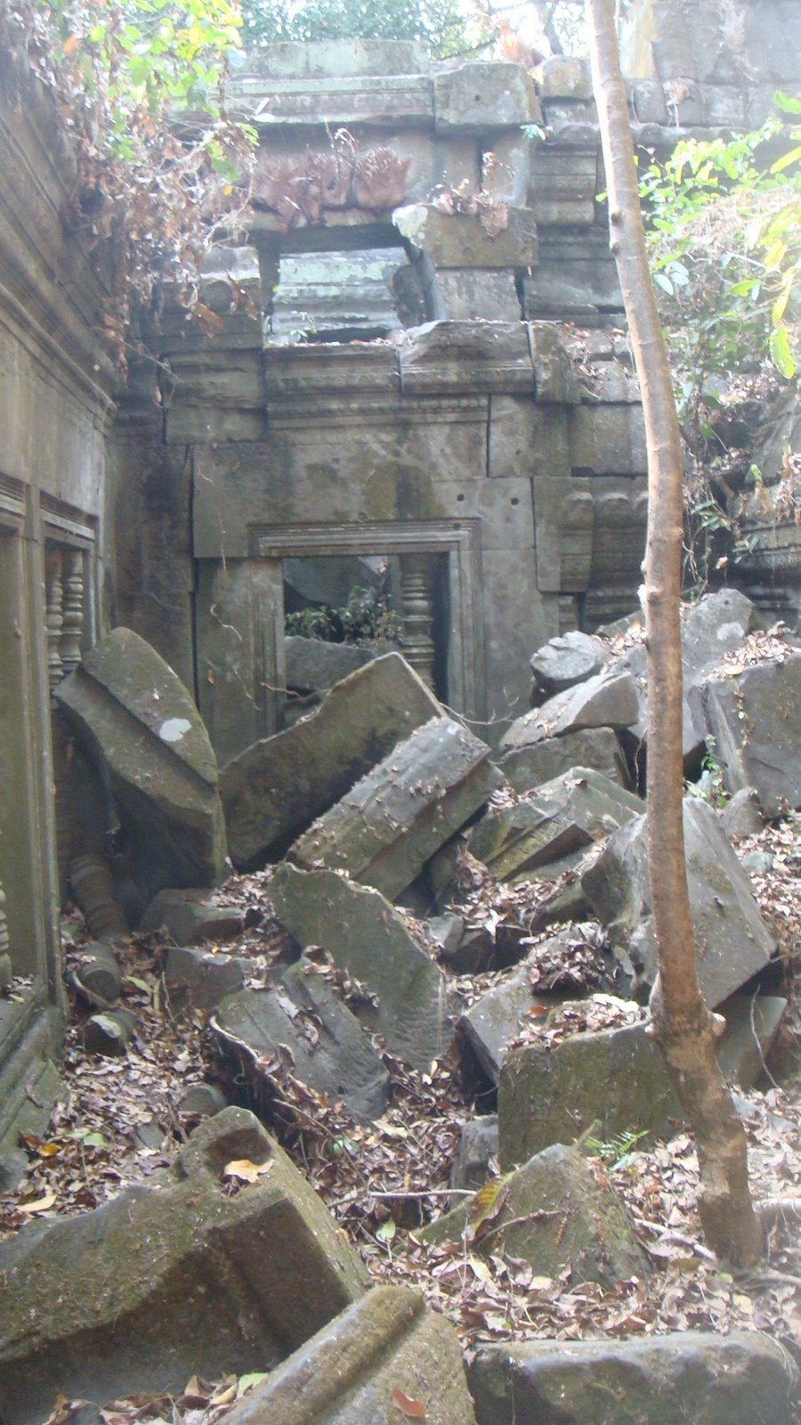 [DSC09973.JPG]