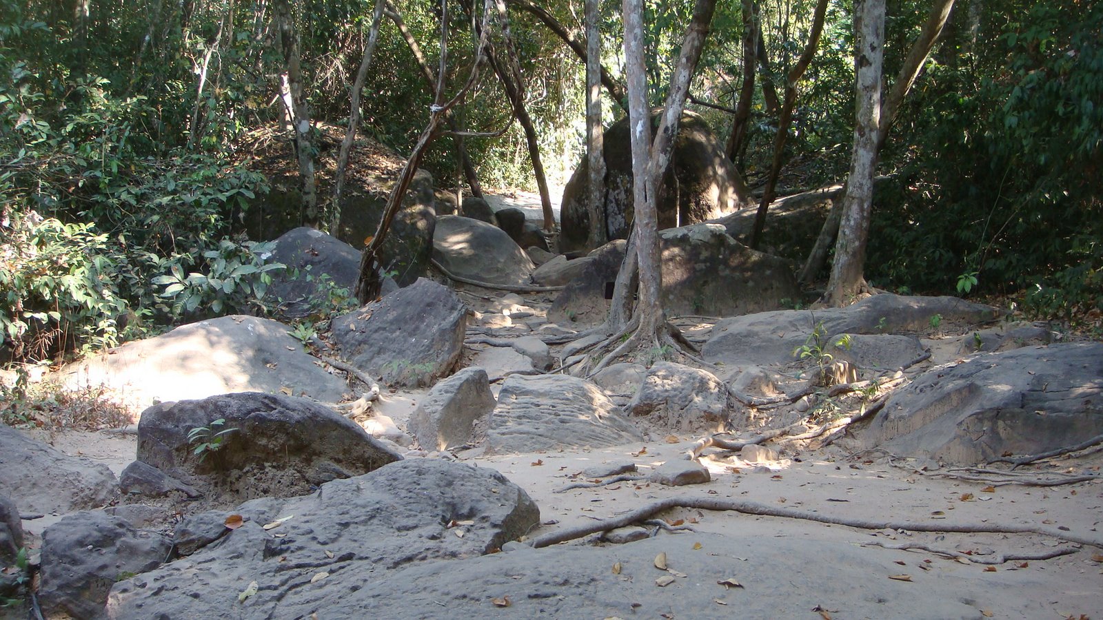[DSC09893.JPG]