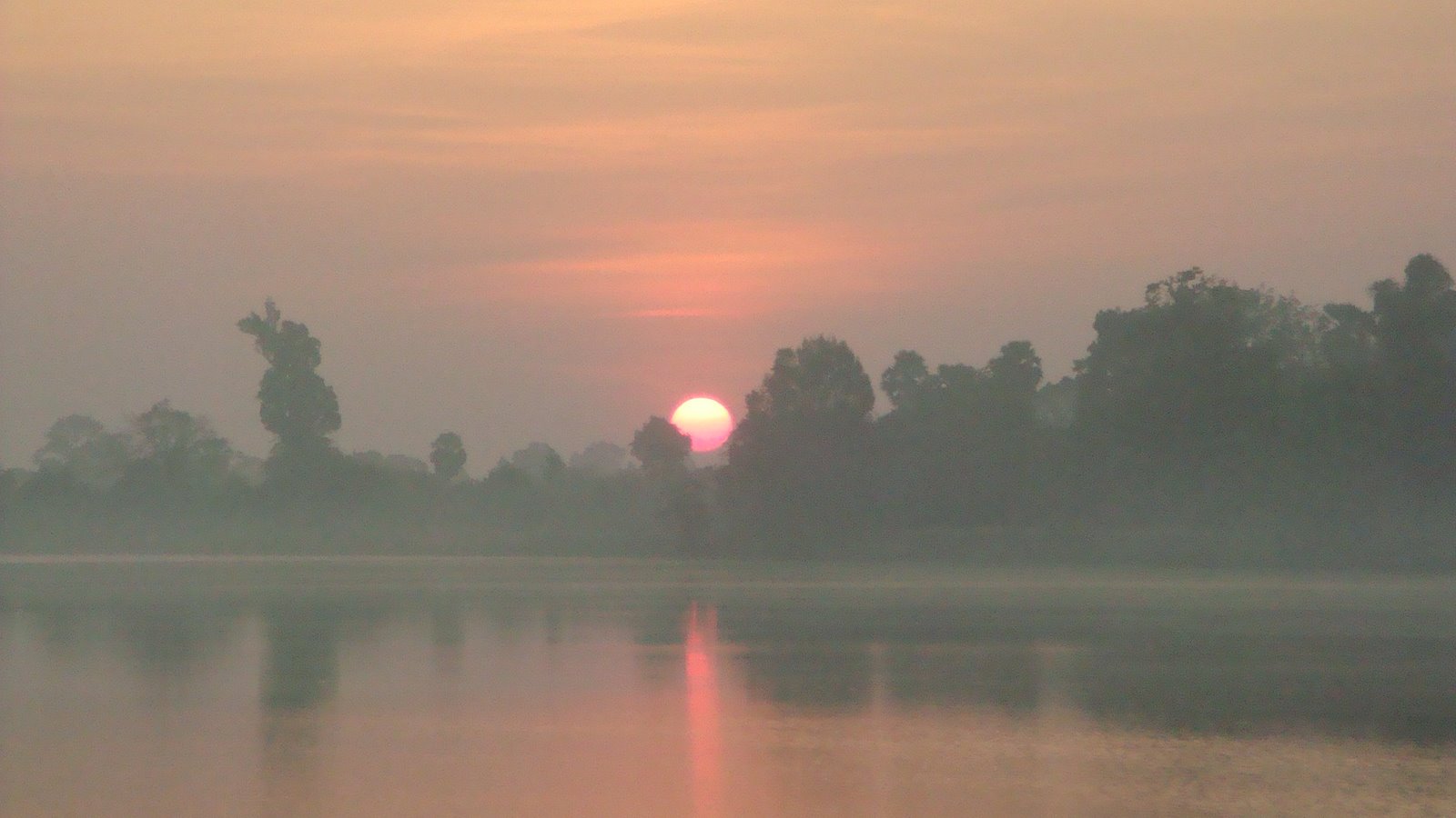 [DSC09876.JPG]