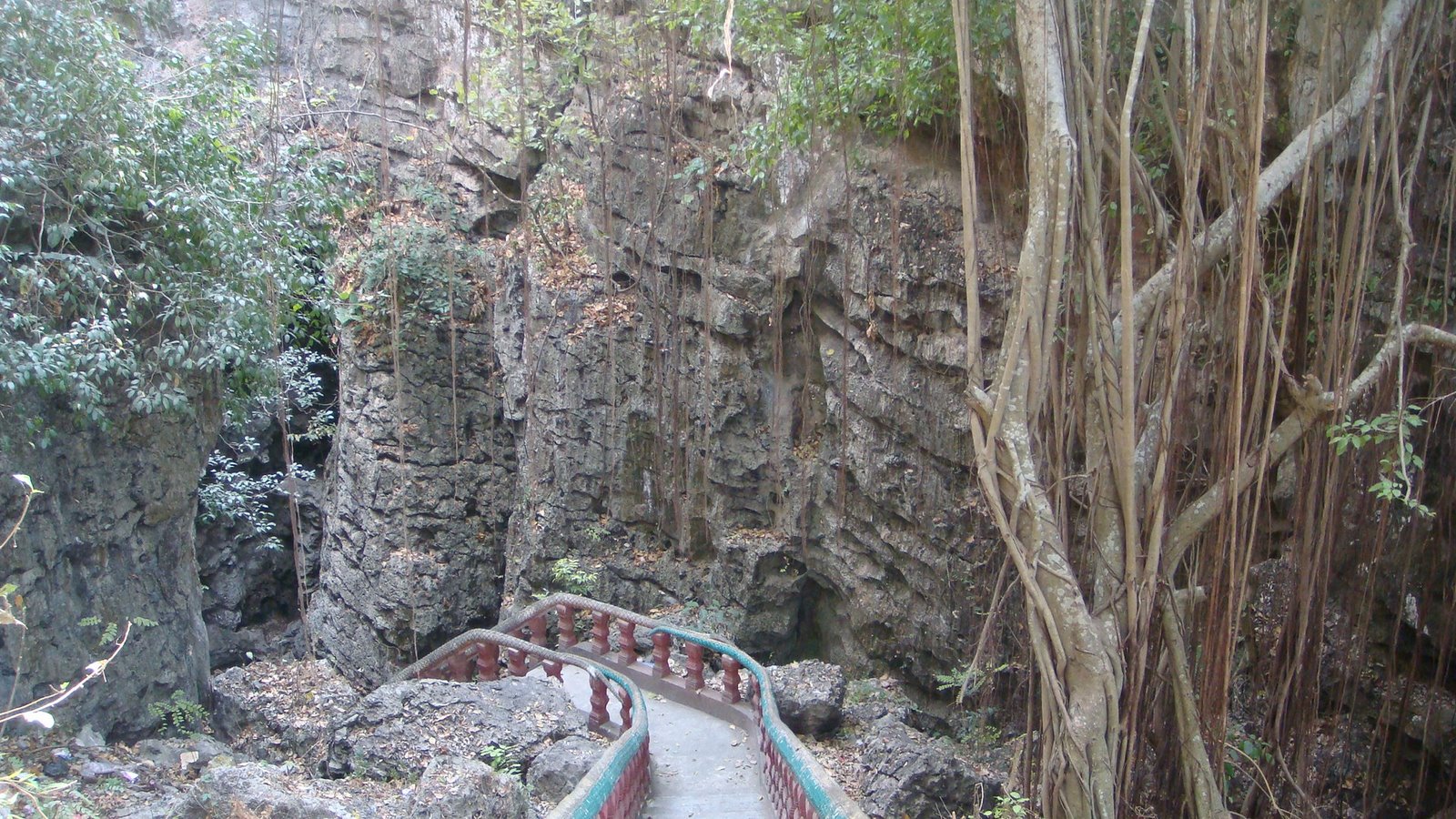 [DSC00344.JPG]