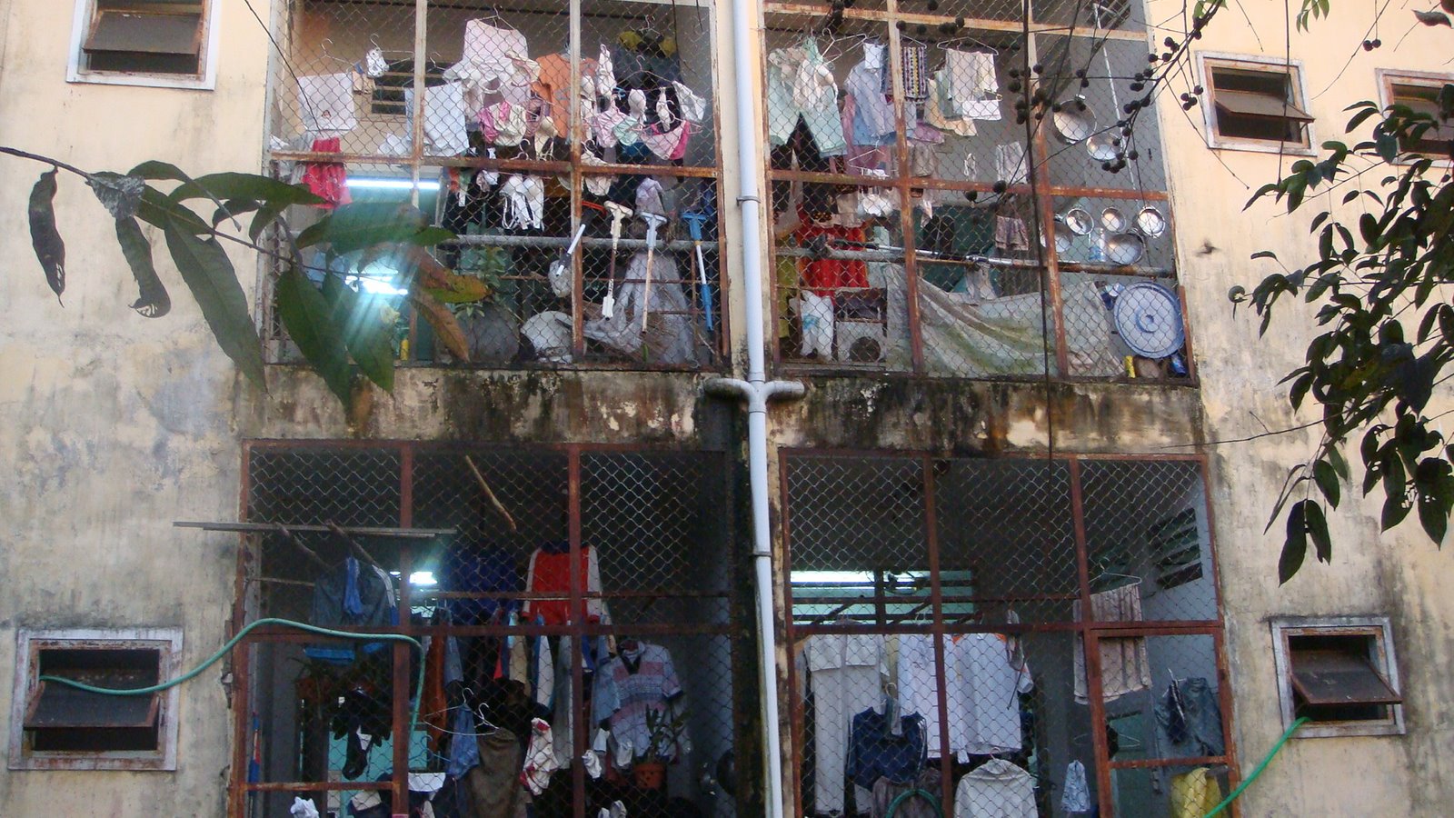 [DSC00660.JPG]