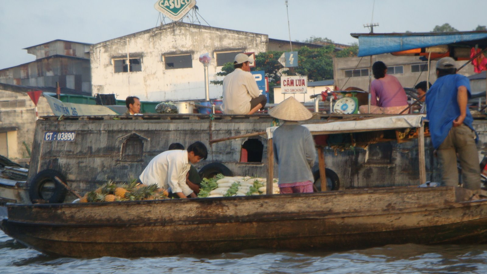 [DSC00633.JPG]